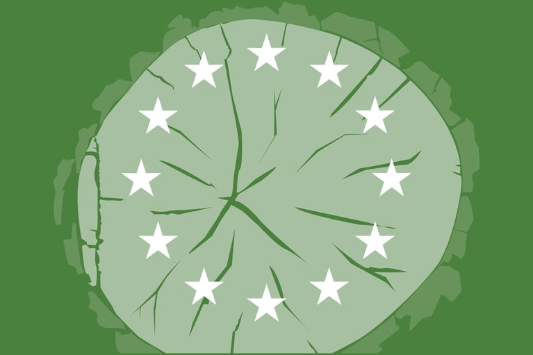 An Overview of the EU Deforestation-free Regulation (EUDR)