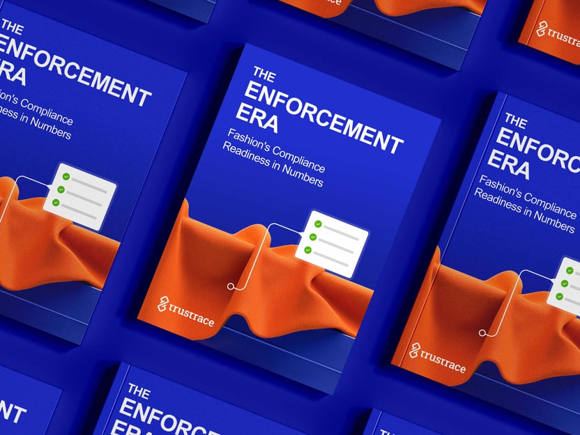 tt-web-content-the-enforcement-era-playbook-@2x-c30