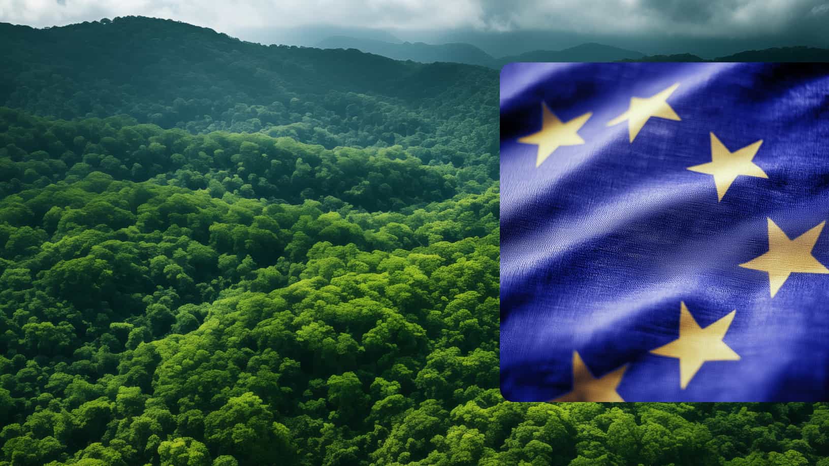 tt-web-kh-blog-2024-11-EU-green-claims