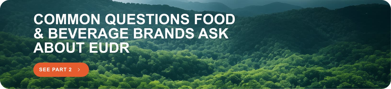 Common-questions-food-beverage-eudr-forest-background