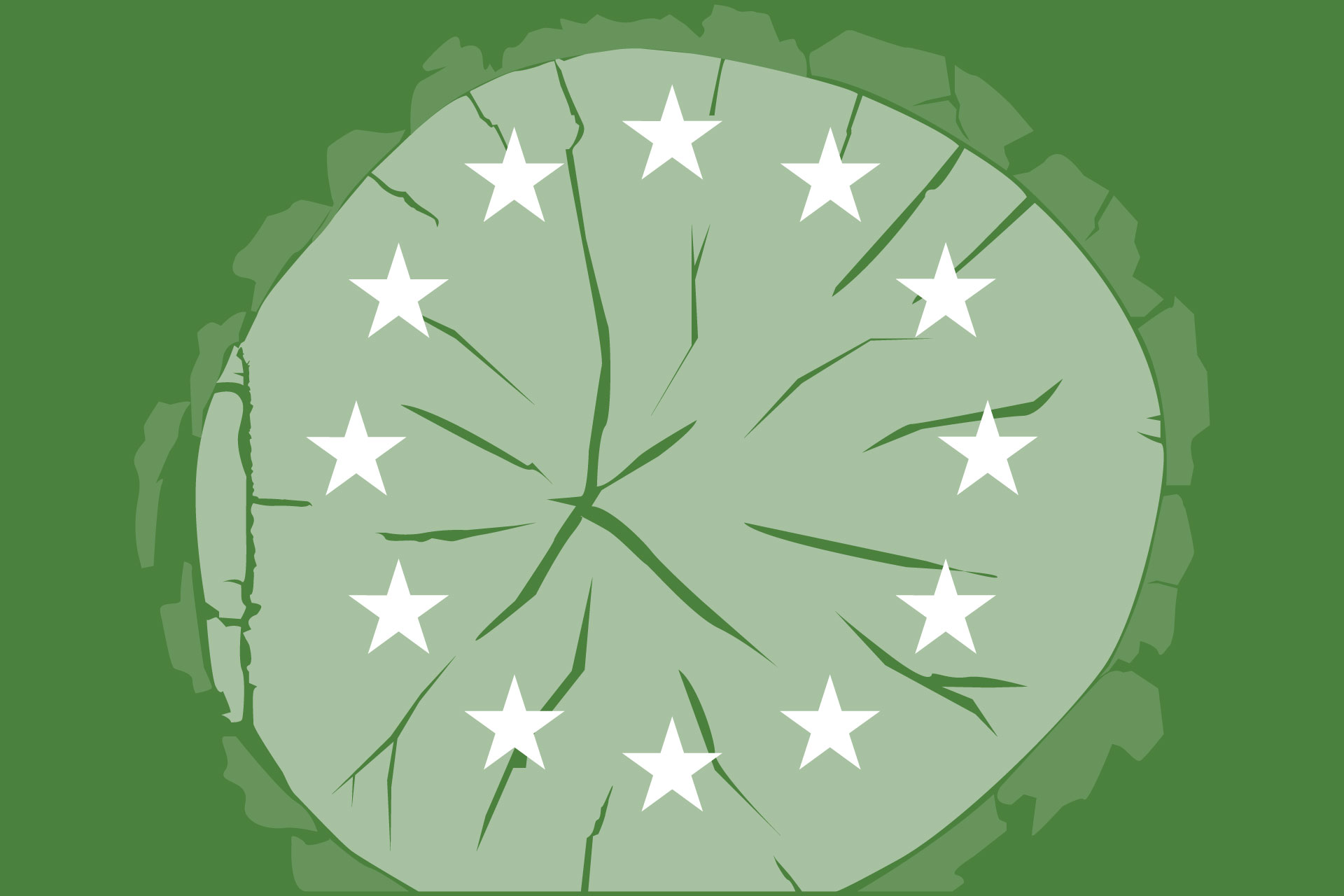 An Overview of the EU Deforestationfree Regulation (EUDR)