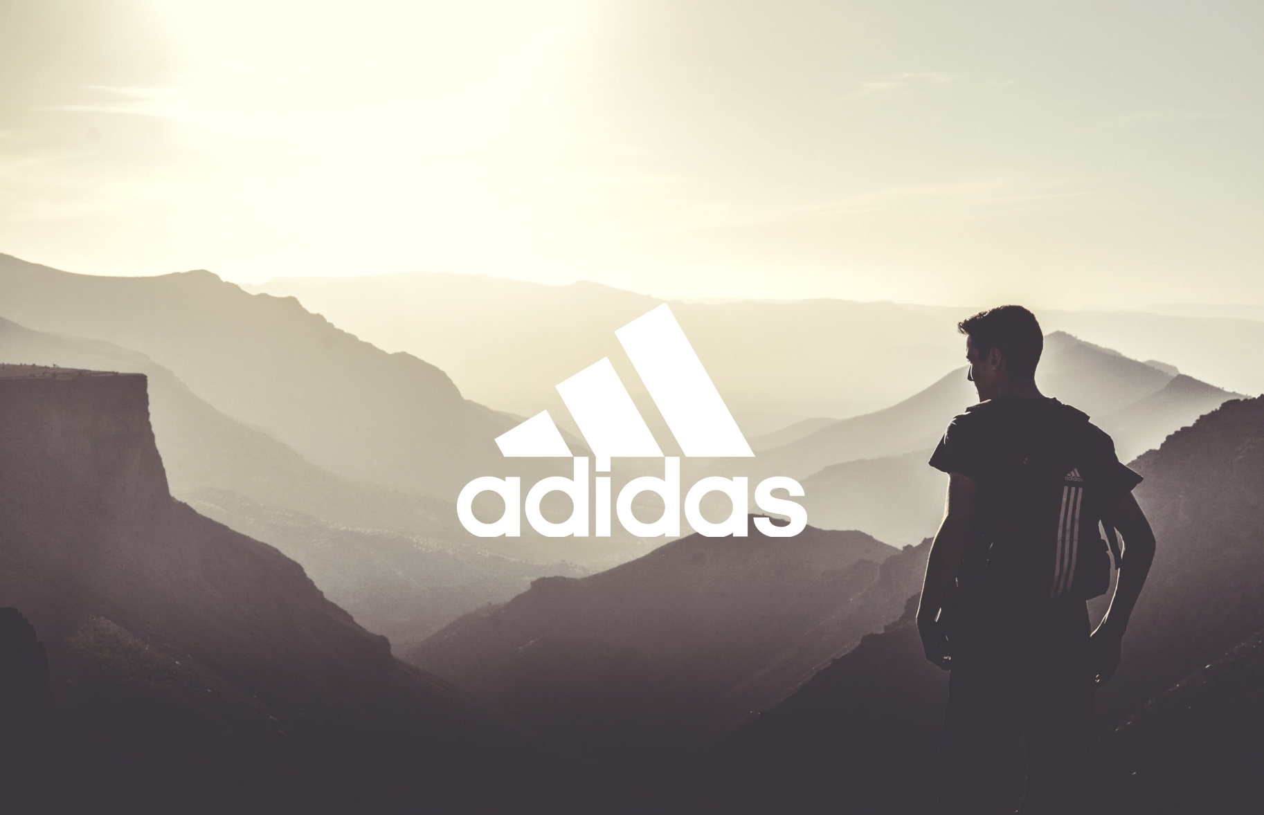 Case - Adidas: A Mission for Traceable Materials - TrusTrace