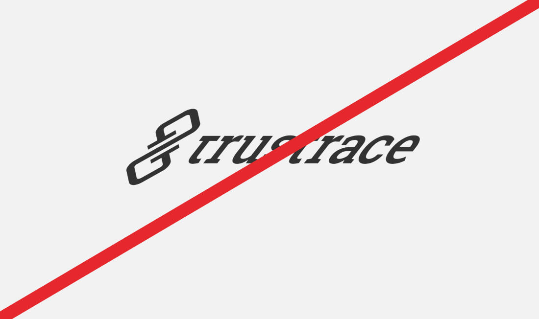tt-web-img-brand-book-misuse-logo-skew