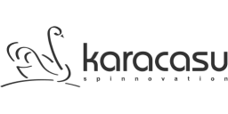 Karacasu