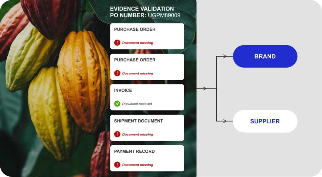 tt-web-ui-food-flp-image